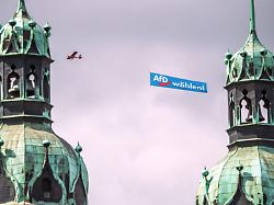 Bildung, Migration, Familie: Was eine AfD-Regierung mit absoluter Mehrheit durchsetzen könnte